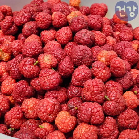 꾸지뽕열매 효능, 보관법, 혈당 조절에 어떤 도움을 주나, 효소만들기