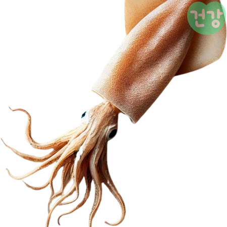 오징어 효능, 데치기, 생물오징어와 건조오징어 차이점은, 부작용