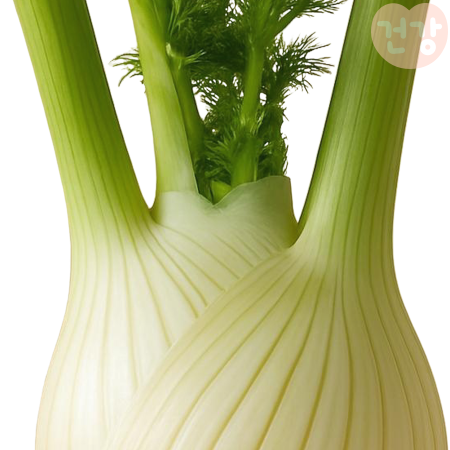 펜넬 효능, 항염증 성분이 만성 질환에 미치는 영향은, 칼로리